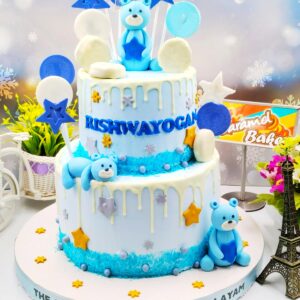 2Tier Teddy theme cake8