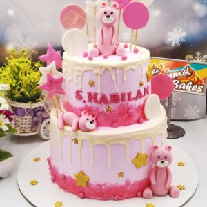 2Tier Teddy theme cake7