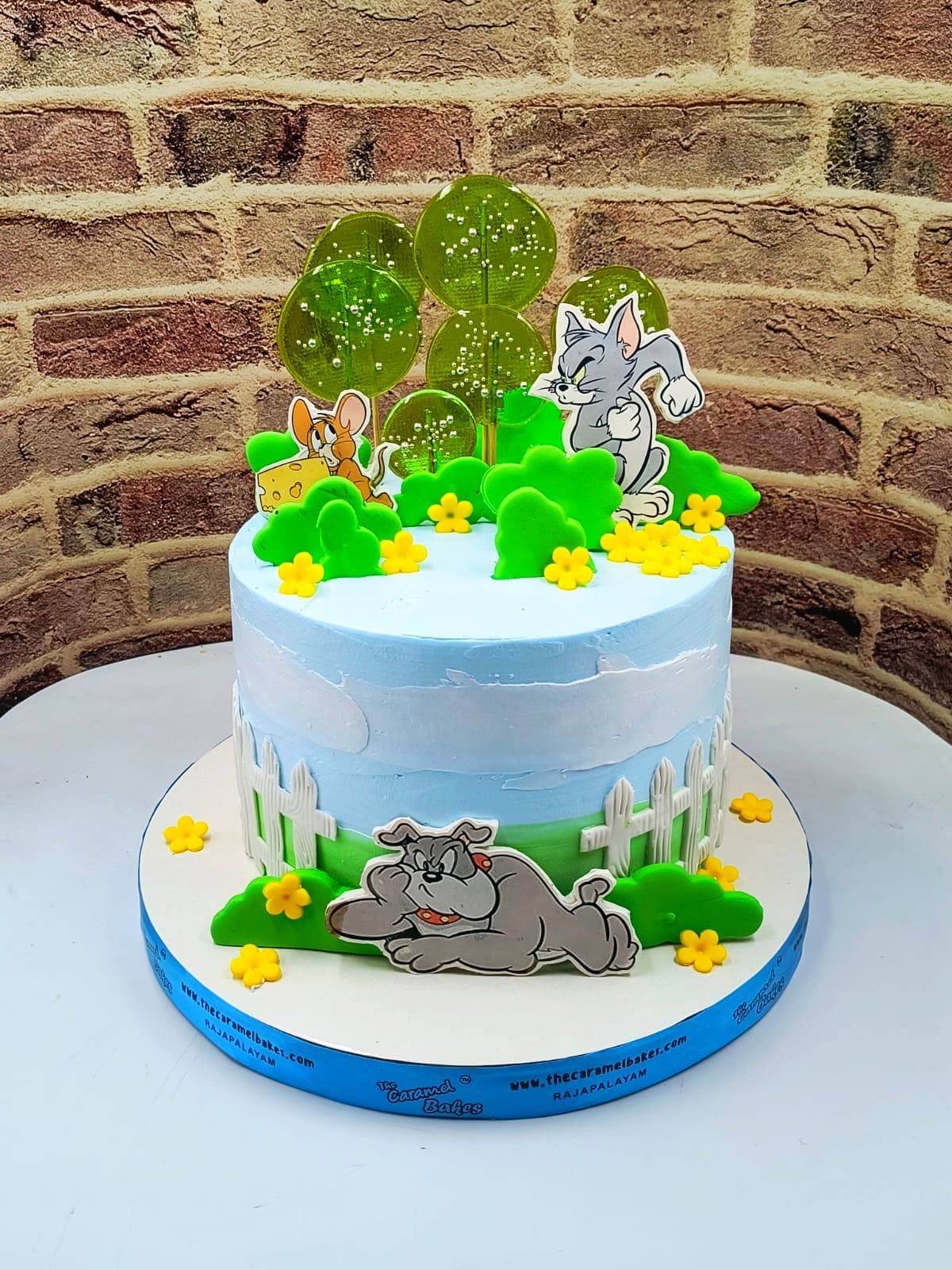 Tom and Jerry cake2