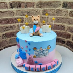 Cute Teddy cake5