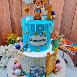 2Tier Teddy Cake6