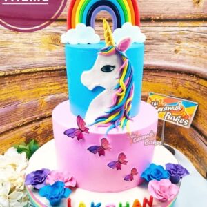 2Tier Unicorn theme cake1