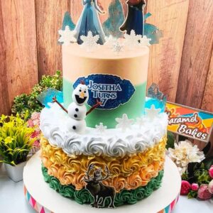 2Tier Frozen theme cake2