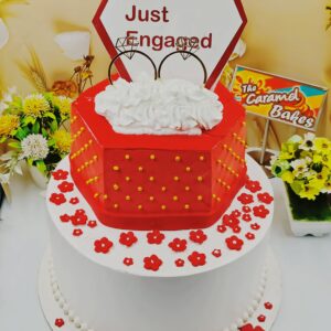 2Tier Engagement cake2