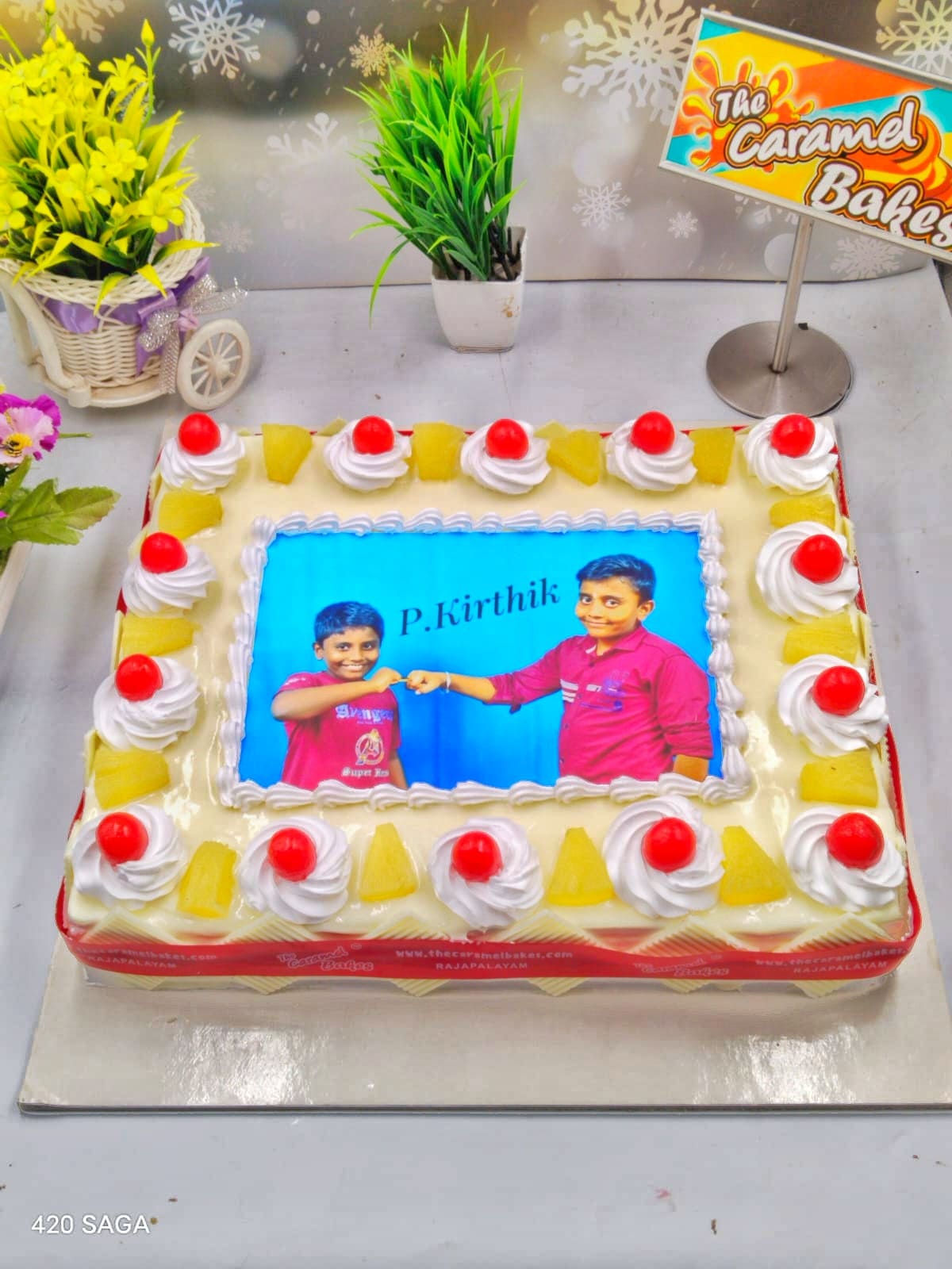 Pineapple Forest photo cake8