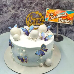 Butterfly theme cake5