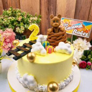 Cute Teddy cake14