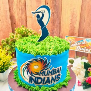 Cricket theme cake2