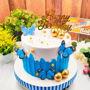 Butterfly Theme cake