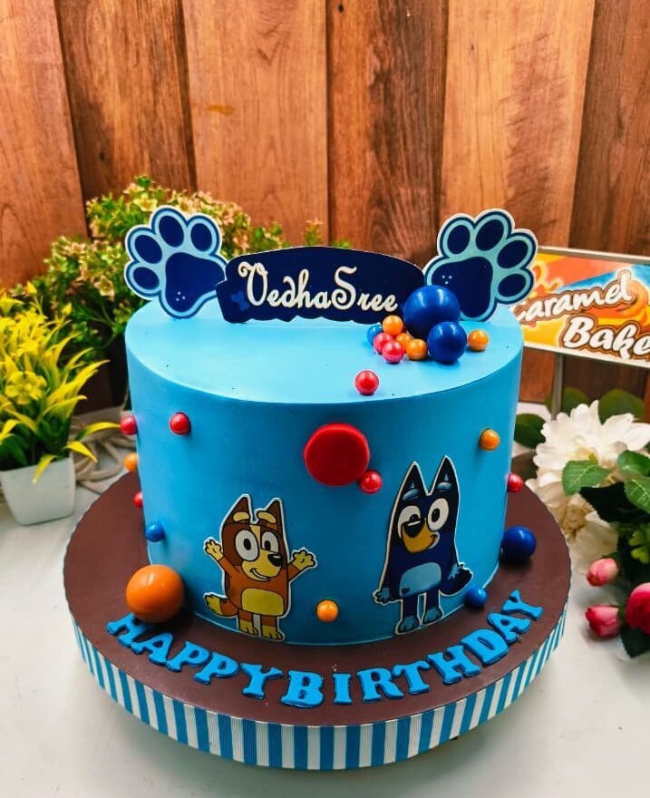 Bluey Theme Cake1