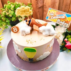 Aeroplane sky cake1