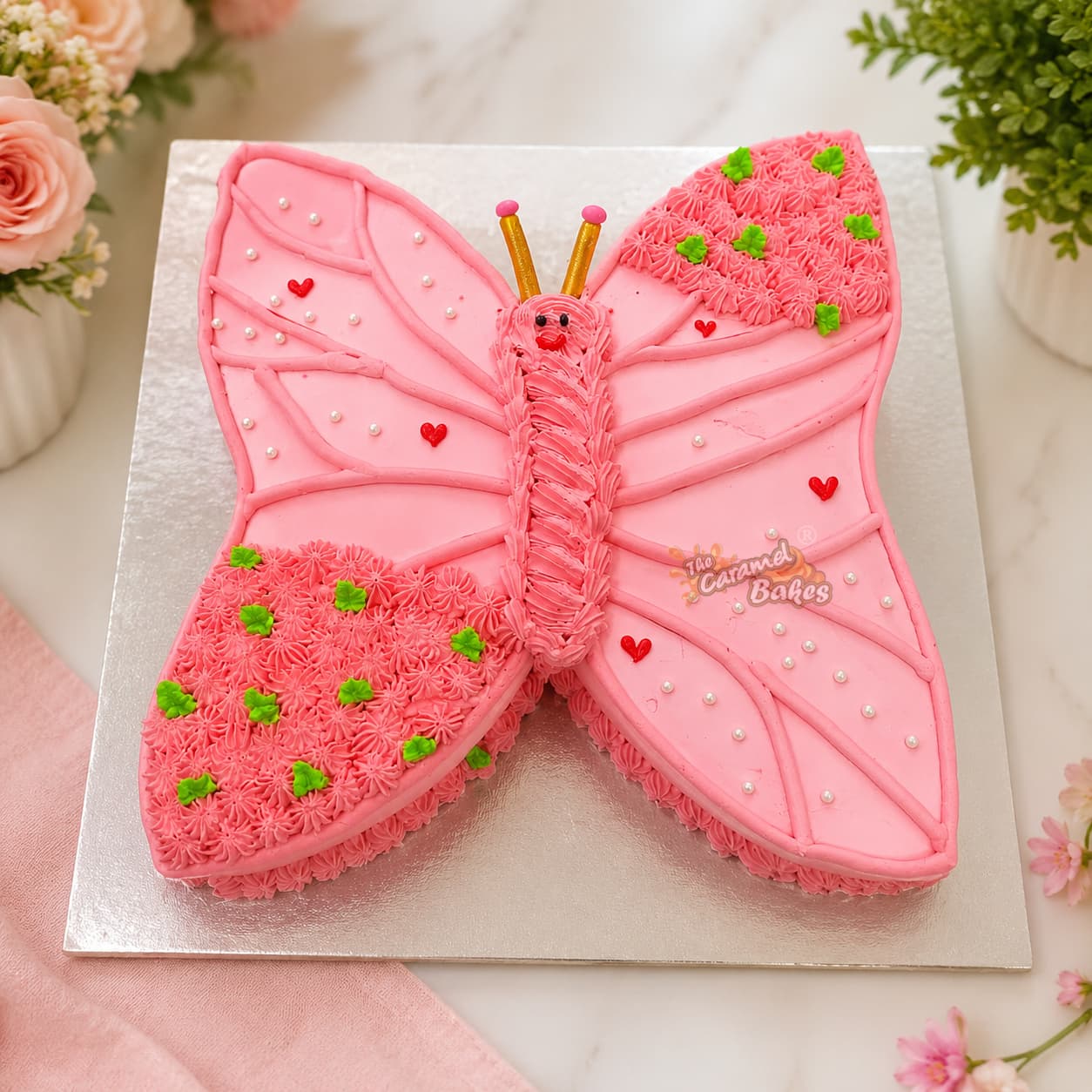 Butterfly theme cake9