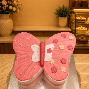 Butterfly theme cake11